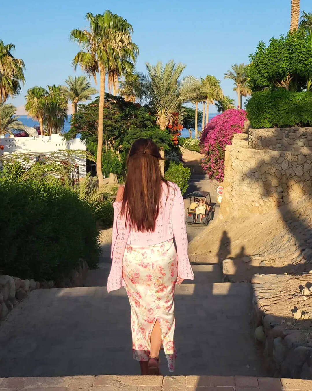 SOERA Ivana Hollow Out Knitted Cardigan - Cardigans - nZ1771188465070850579 Pink M